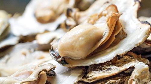 大瓜吃生蚝视频大全图片,生蚝视频大全，美味瞬间尽收眼底