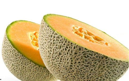 日本女吃哈密瓜视频,甜蜜瞬间引网友热议