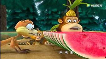 吵架动物吃瓜视频,一场场吵架引发的趣味视频盛宴