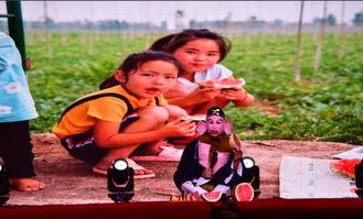 鄄城吃瓜的视频,一场视觉与味蕾的双重盛宴