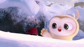 大学生日常吃瓜视频,大学生吃瓜视频背后的生活百态