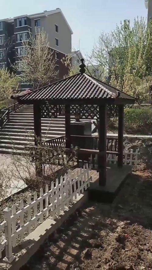 凉亭吃瓜怎么拍的视频,趣味瞬间捕捉