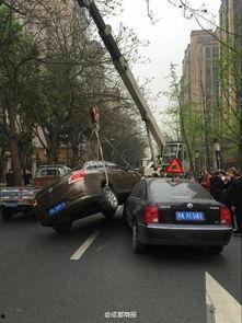 成都车祸吃瓜事件视频,网络热议的瞬间回顾