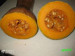 陕西安康吃瓜视频